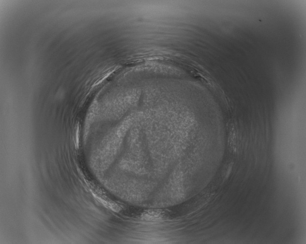 X0000085000076200704021345