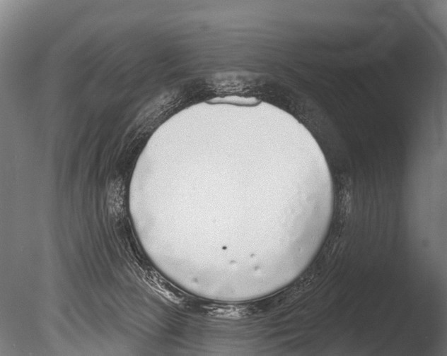 X0000085000081200704021345