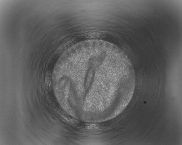 X0000085000091200704021345