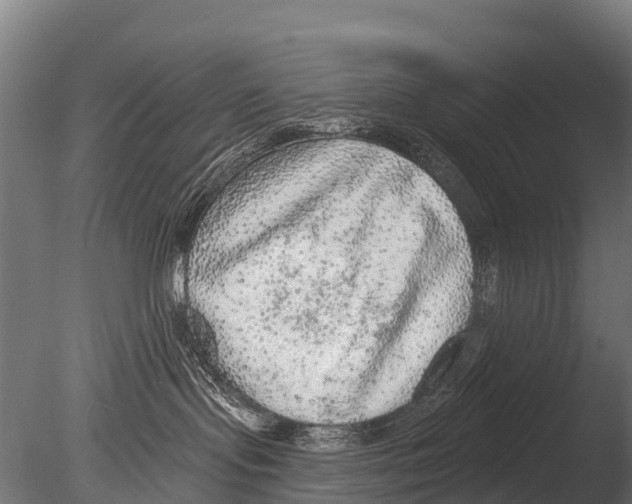 X0000085000095200704021345