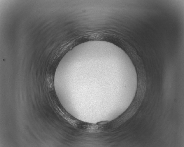 X0000085000096200704021345