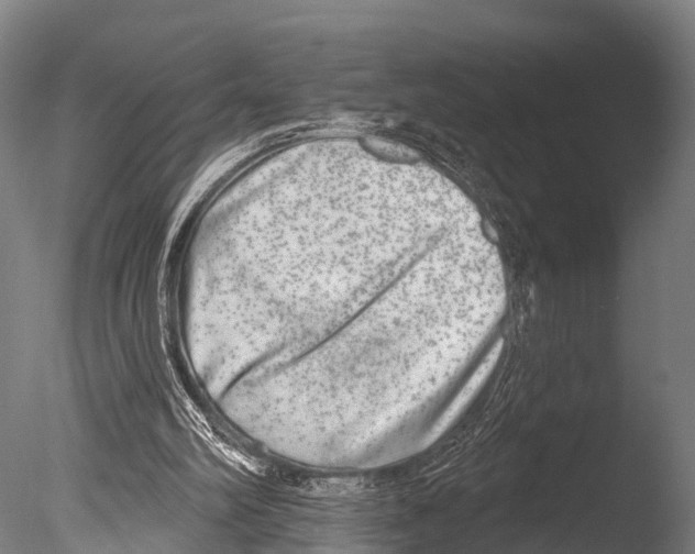 X0000085000102200704021344