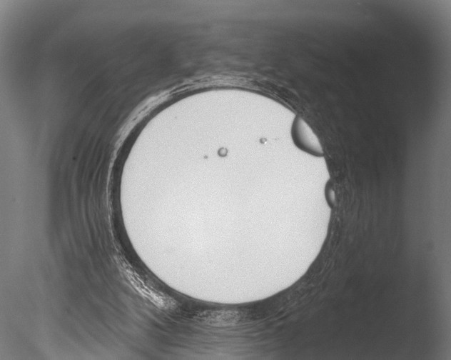 X0000085000104200704021344