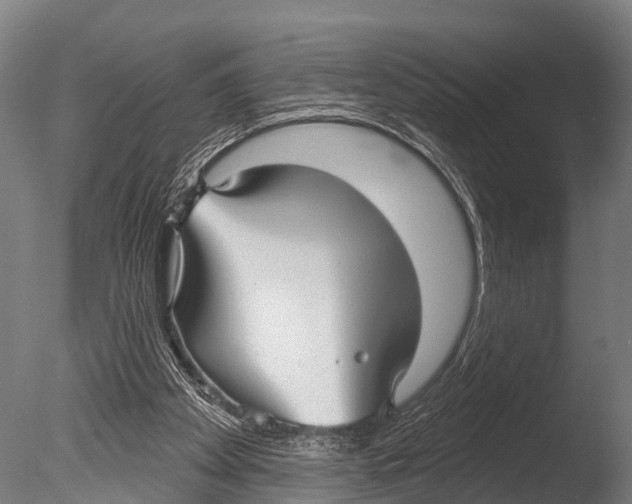 X0000085000105200704021344