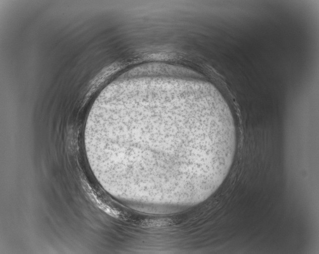 X0000085000106200704021344