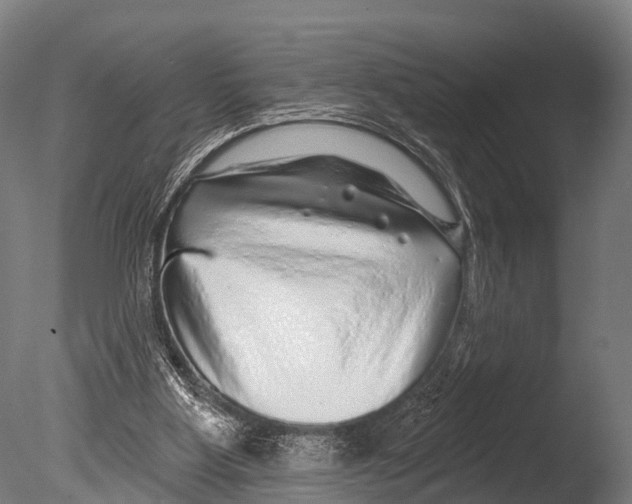 X0000085000107200704021344