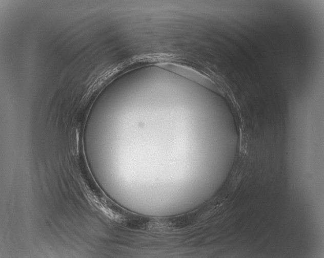 X0000085000109200704021344