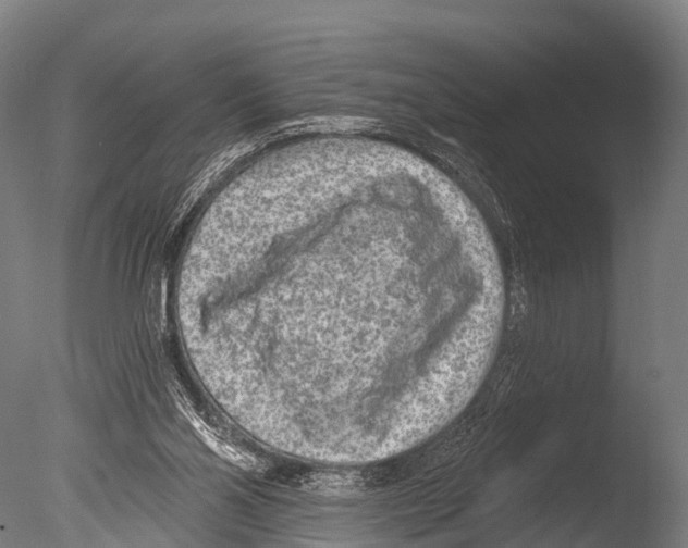 X0000085000110200704021344