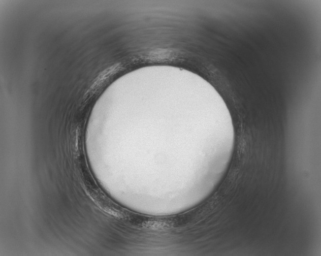 X0000085000115200704021344