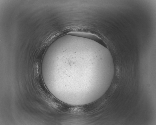 X0000085000117200704021344