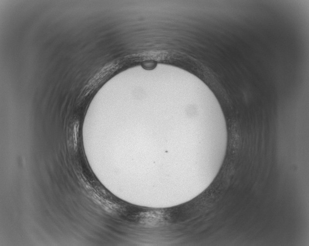 X0000085000118200704021344