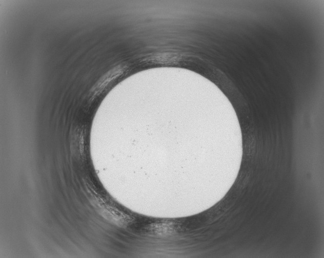 X0000085000120200704021344