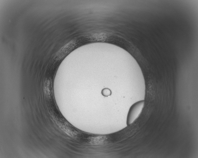 X0000085000122200704021344