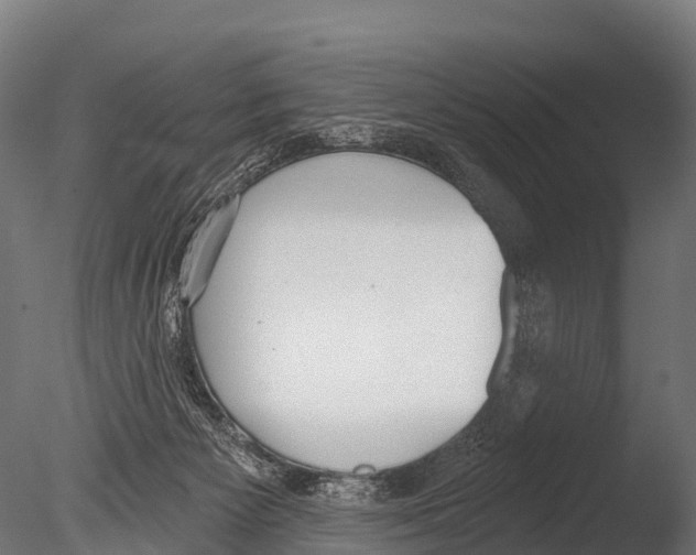 X0000085000125200704021344