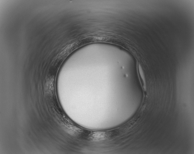 X0000085000127200704021344