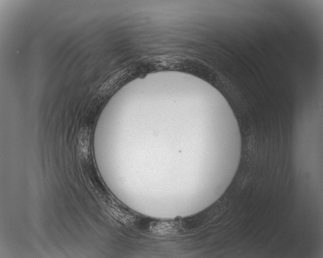 X0000085000129200704021344