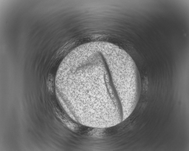 X0000085000138200704021344