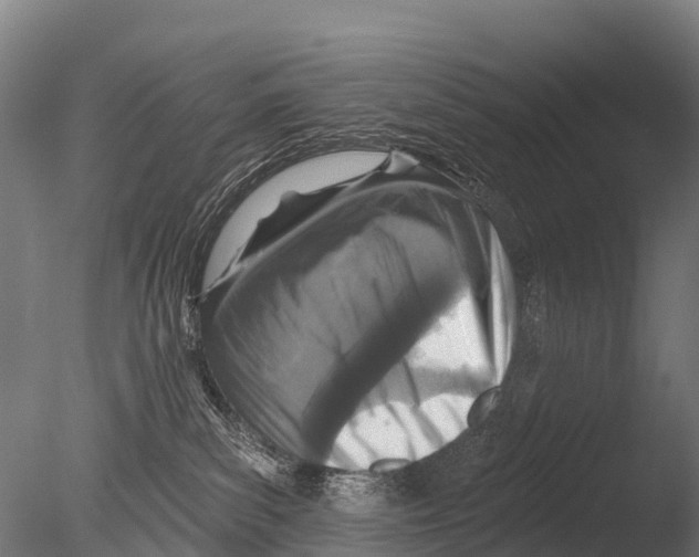 X0000085000139200704021344