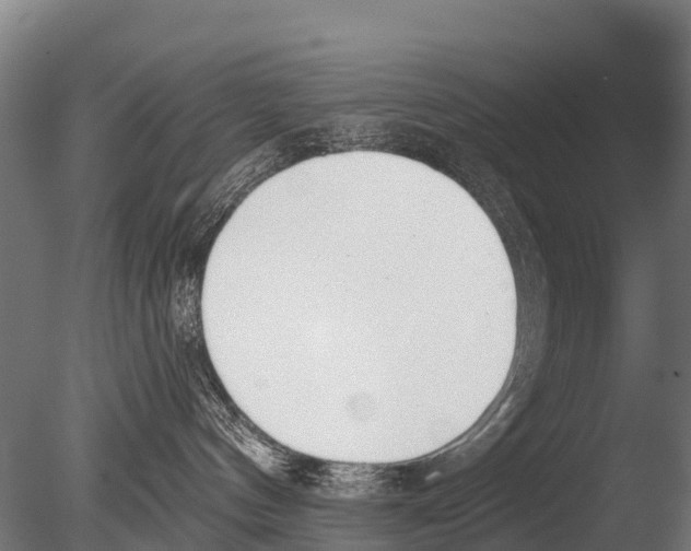 X0000085000144200704021343