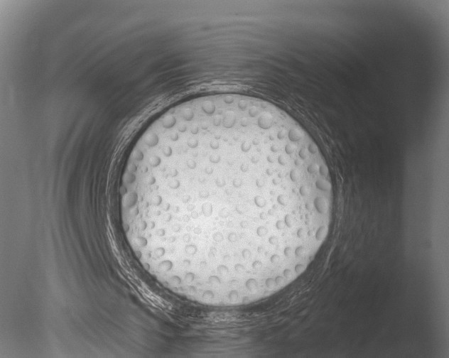 X0000085000145200704021343