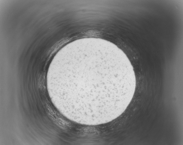 X0000085000146200704021343