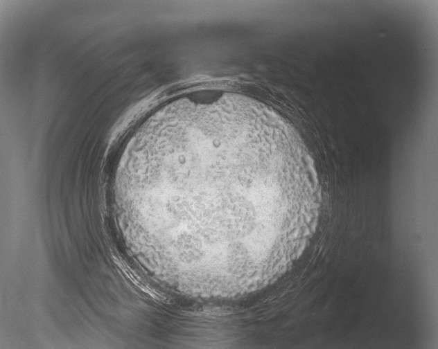 X0000085000149200704021343