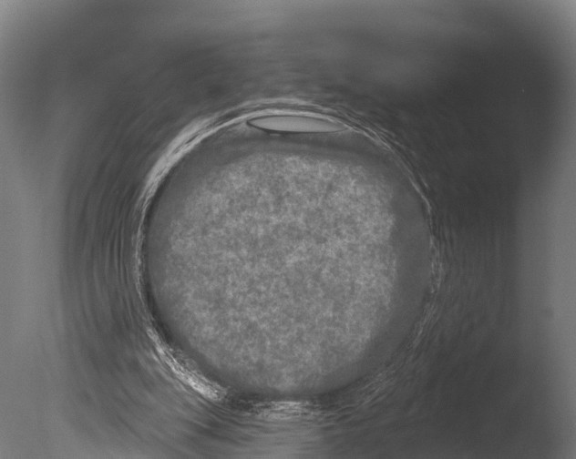 X0000085000151200704021343