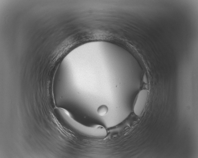 X0000085000154200704021343