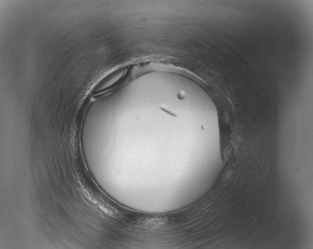 X0000085000156200704021343