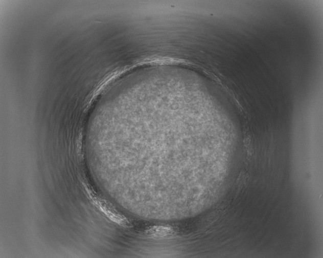 X0000085000159200704021343