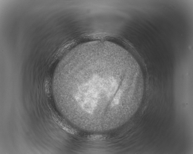 X0000085000161200704021343