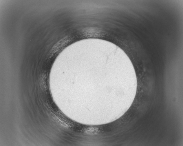 X0000085000162200704021343