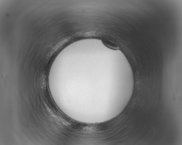 X0000085000164200704021343