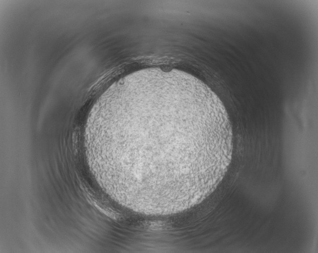 X0000085000165200704021343