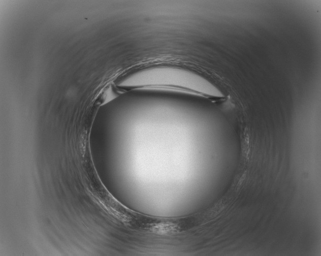 X0000085000168200704021343