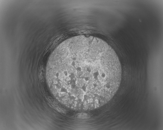 X0000085000169200704021343