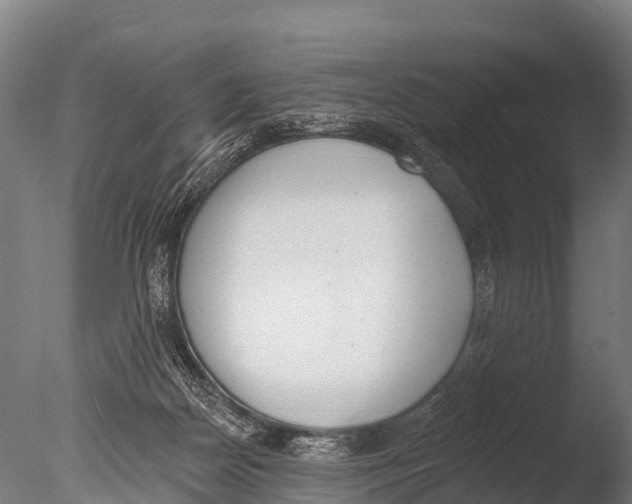 X0000085000170200704021343