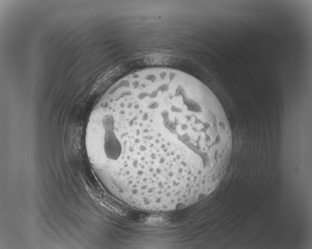 X0000085000171200704021343