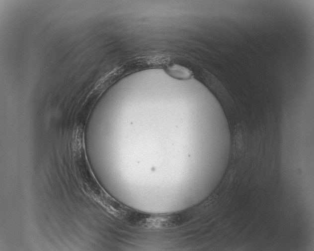 X0000085000172200704021343