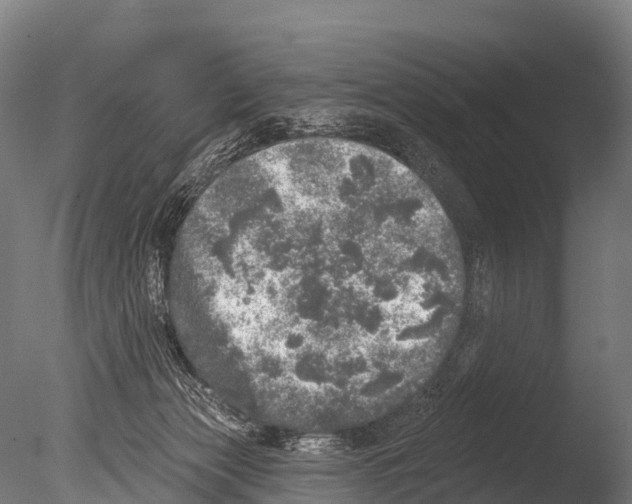 X0000085000173200704021343