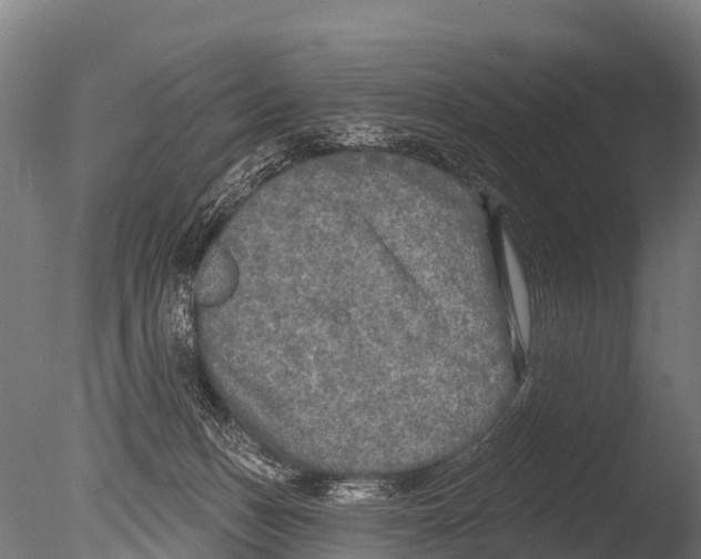 X0000085000175200704021343