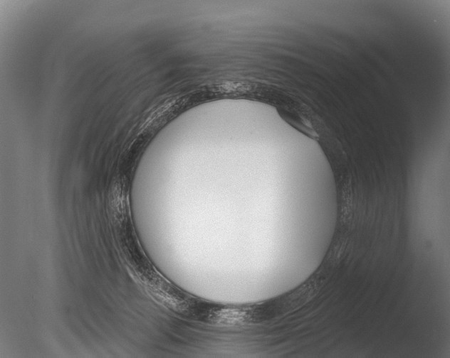 X0000085000176200704021343