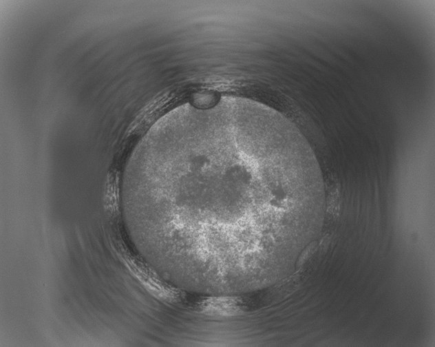 X0000085000179200704021343