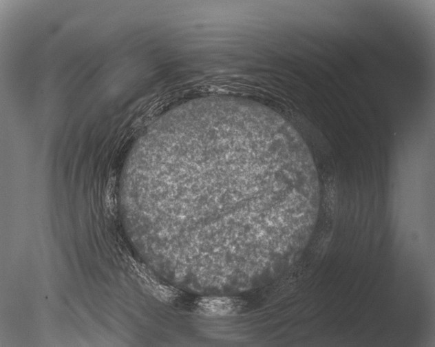 X0000085000181200704021343