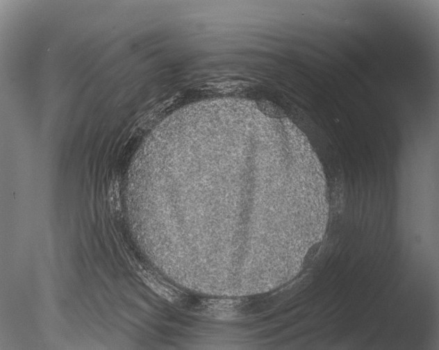 X0000085000182200704021343