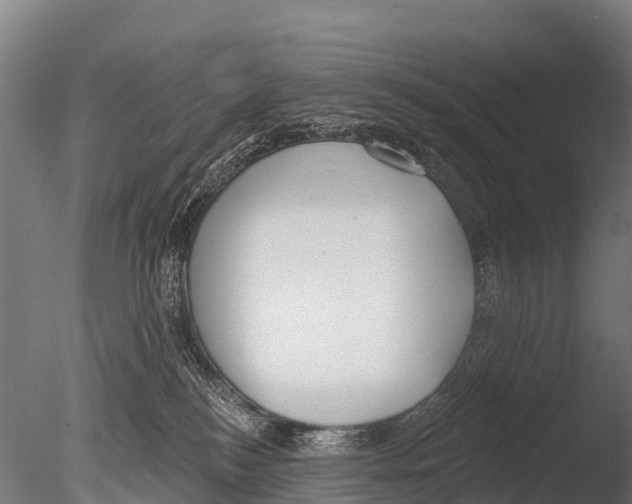 X0000085000184200704021343