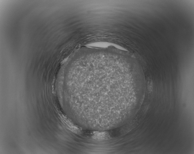 X0000085000185200704021343