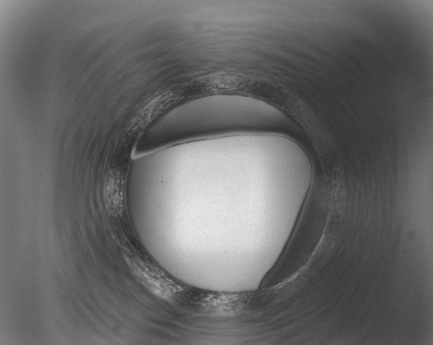 X0000085000186200704021343