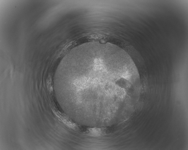 X0000085000187200704021343