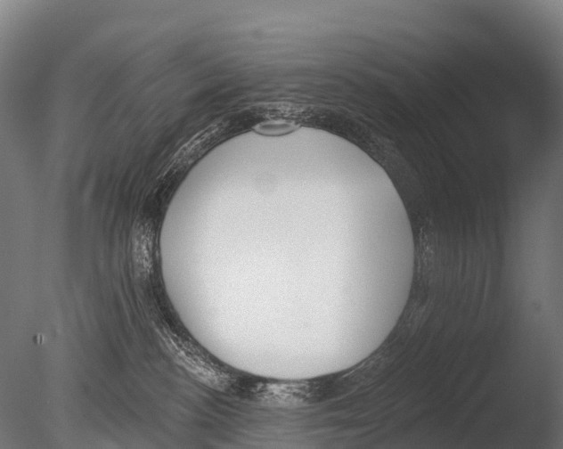 X0000085000188200704021343